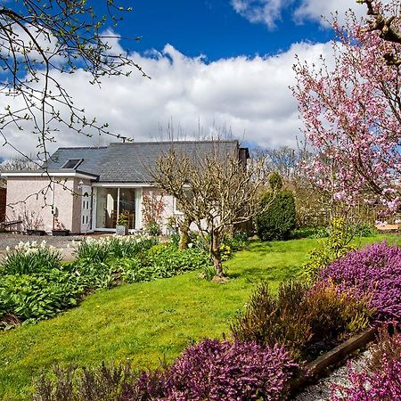 Ty'r Afon - River Cottage Bala Exteriör bild